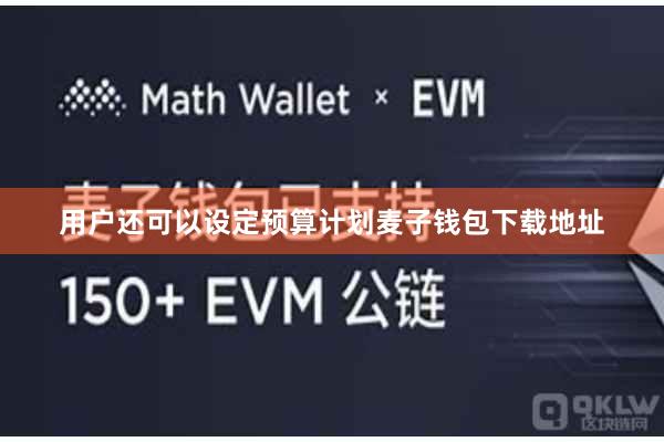 用户还可以设定预算计划麦子钱包下载地址