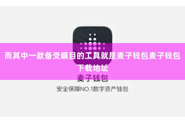 而其中一款备受瞩目的工具就是麦子钱包麦子钱包下载地址