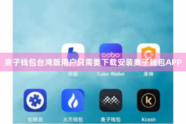 麦子钱包台湾版用户只需要下载安装麦子钱包APP