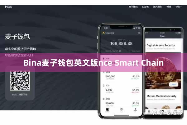 Bina麦子钱包英文版nce Smart Chain