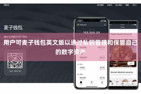 用户可麦子钱包英文版以通过私钥管理和保管自己的数字资产