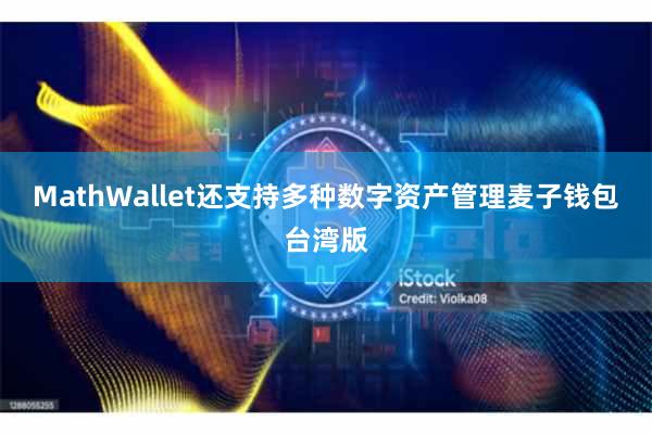 MathWallet还支持多种数字资产管理麦子钱包台湾版